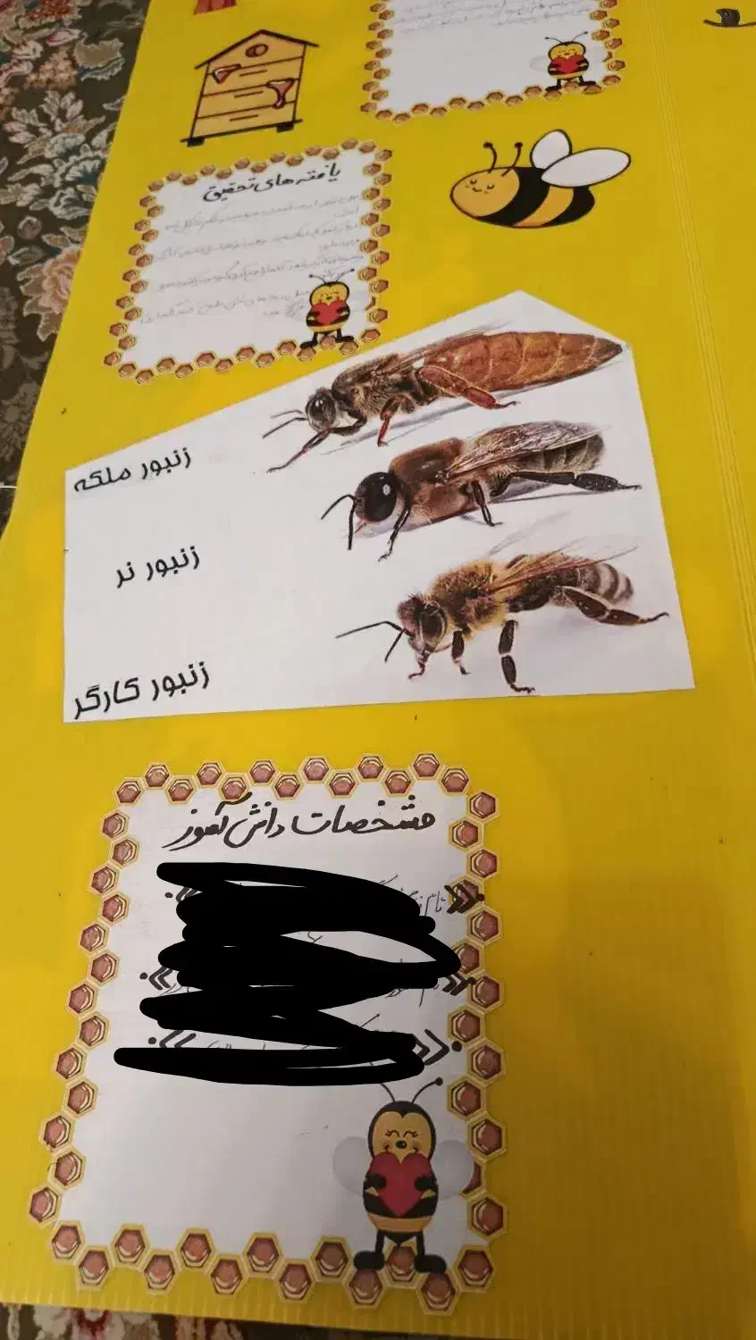 طرح جابر|لوازم التحریر|تهران, فلاح|دیوار