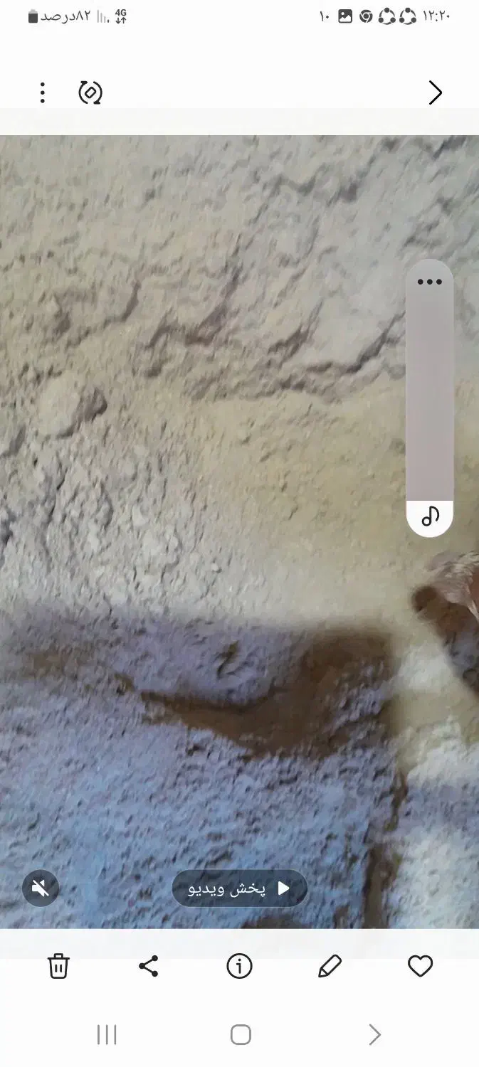 خوراک دام سبوس برنج|لوازم جانبی حیوانات|محلات, |دیوار