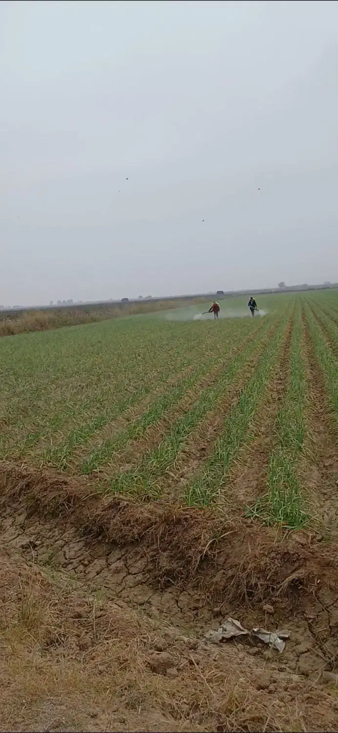 سم پاشی|عمده‌فروشی|پارس‌آباد, |دیوار