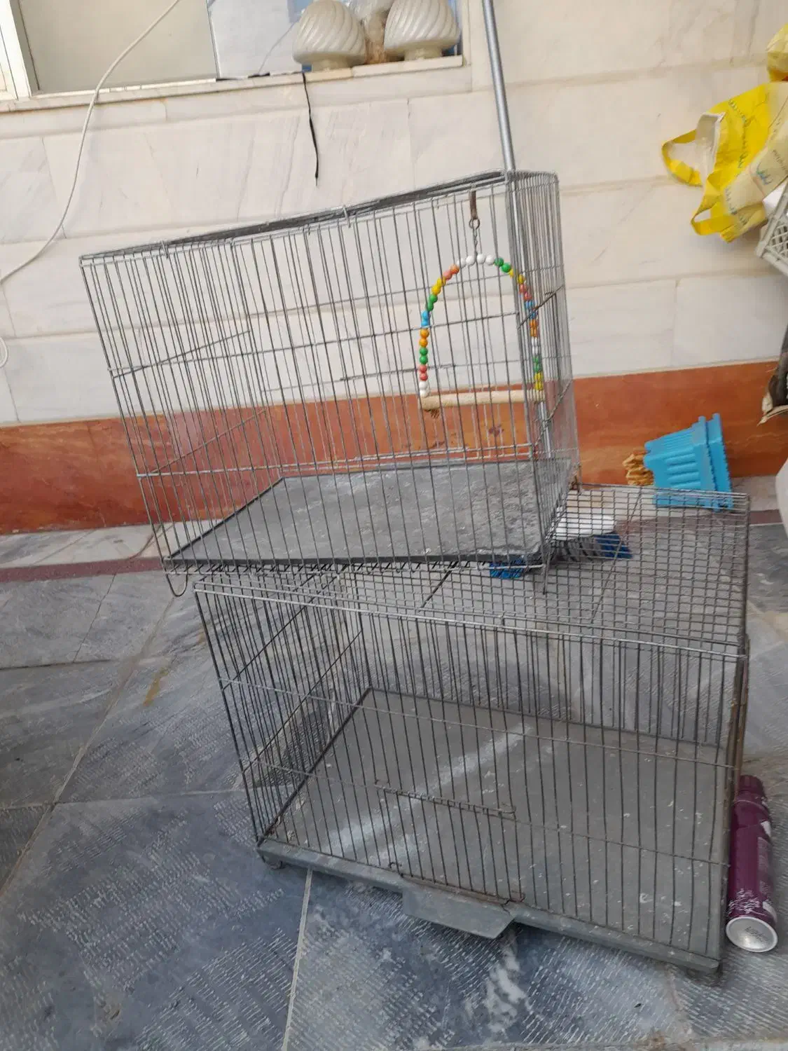 قفس پرنده|لوازم جانبی حیوانات|اردبیل, |دیوار