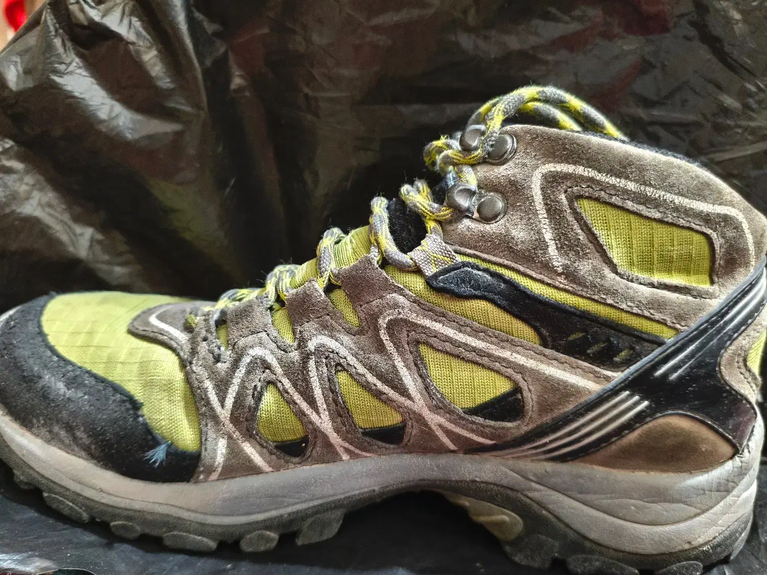 کفش|کیف، کفش، کمربند|زاهدان, |دیوار