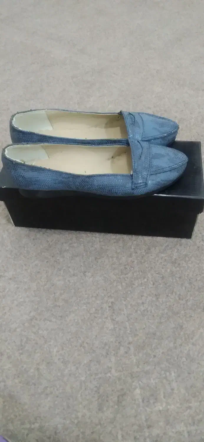 کفش|کیف، کفش، کمربند|اندیمشک, |دیوار