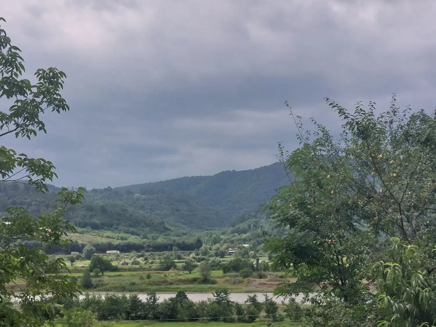 فروش زمین|فروش زمین و ملک کلنگی|توتکابن, |دیوار