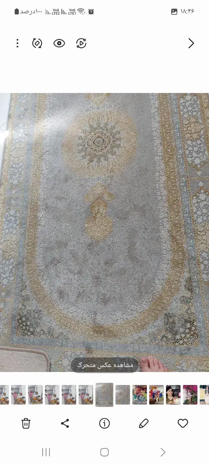 دو عددقالیچه|فرش|تهران, باغ فیض|دیوار