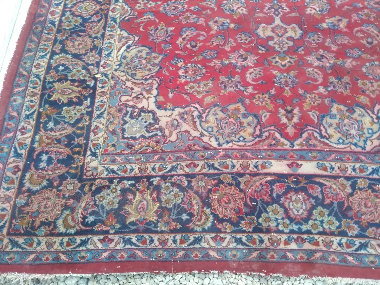 فرش،دست بافت|فرش|جهرم, |دیوار