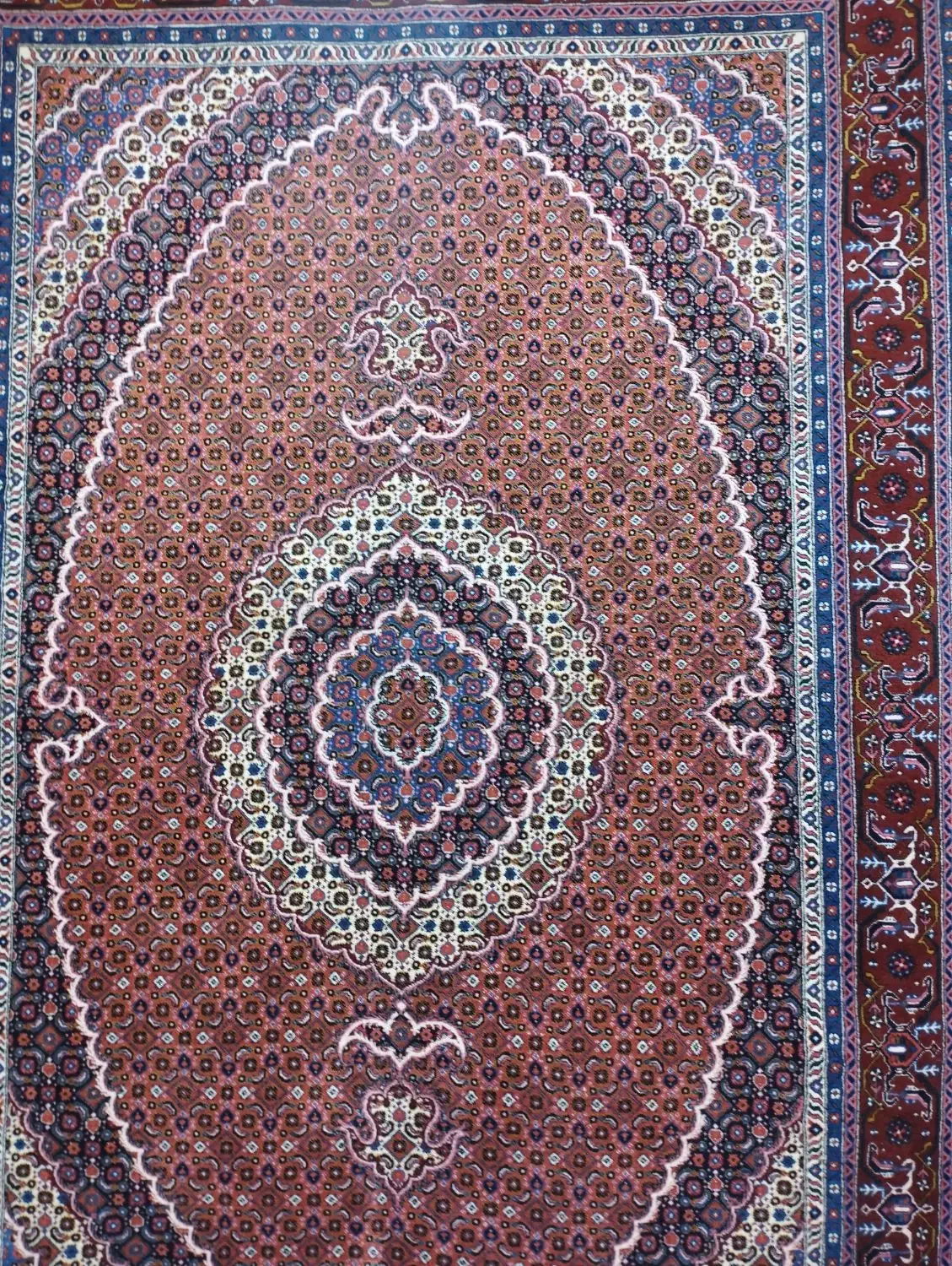 فرش دست بافت 6متری ماهی اردبیل|فرش|اردبیل, |دیوار