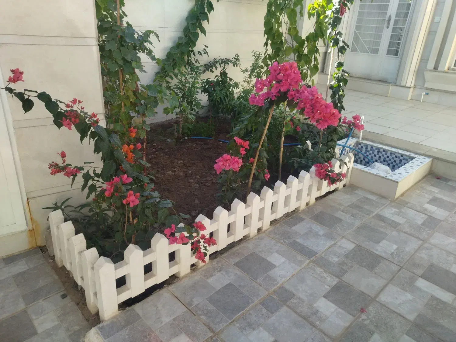 سوییت.اپارتمان.شبانه.روزانه.شهر رابر|اجارهٔ کوتاهمدت آپارتمان و سوئیت|رابر, |دیوار