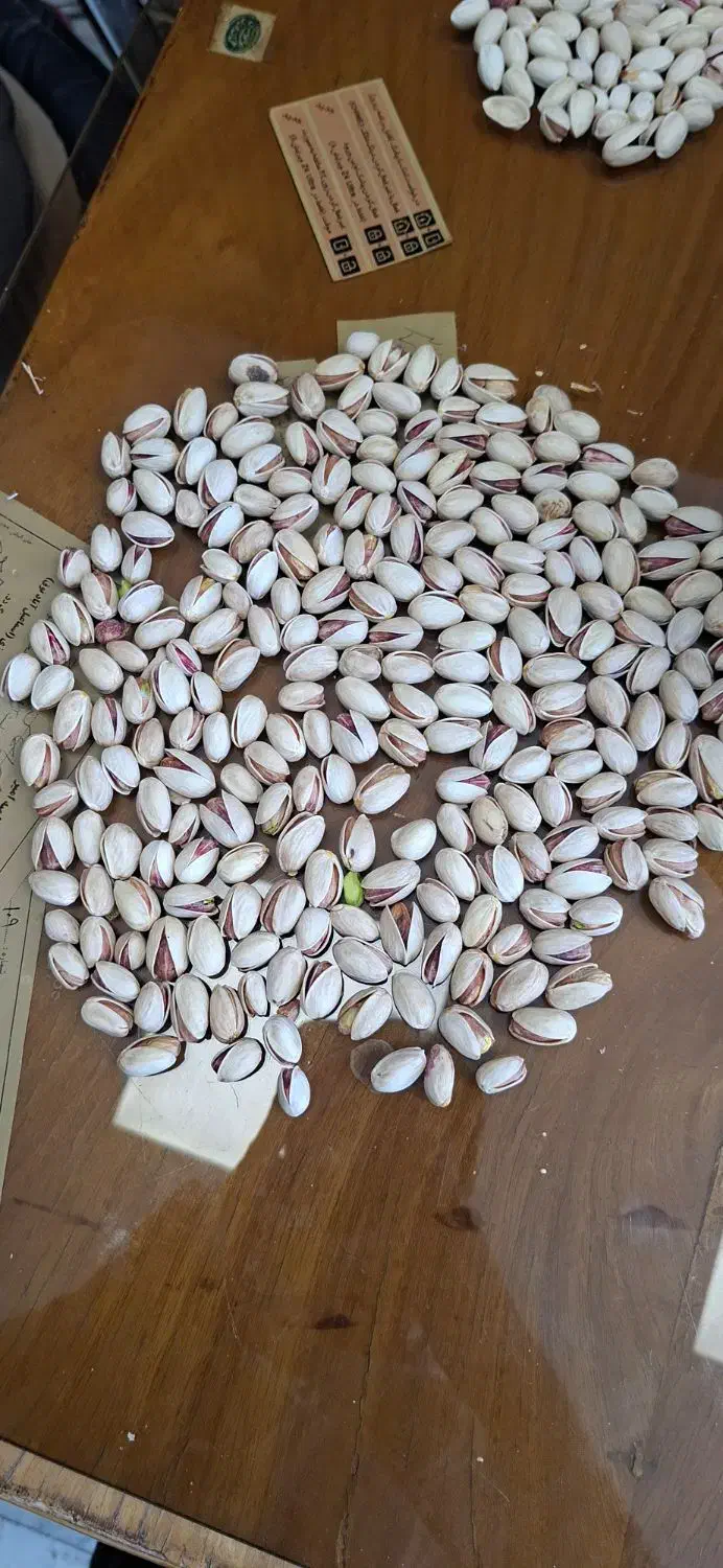 پسته لوکس احمد اقایی|خوردنی و آشامیدنی|رفسنجان, |دیوار