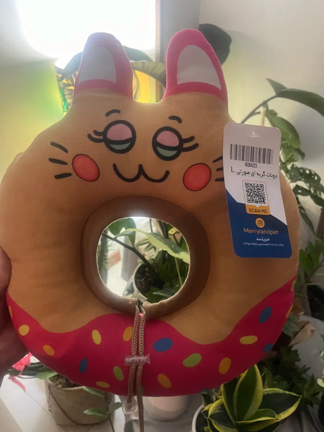 پت شاپ|لوازم جانبی حیوانات|رشت, گلسار|دیوار