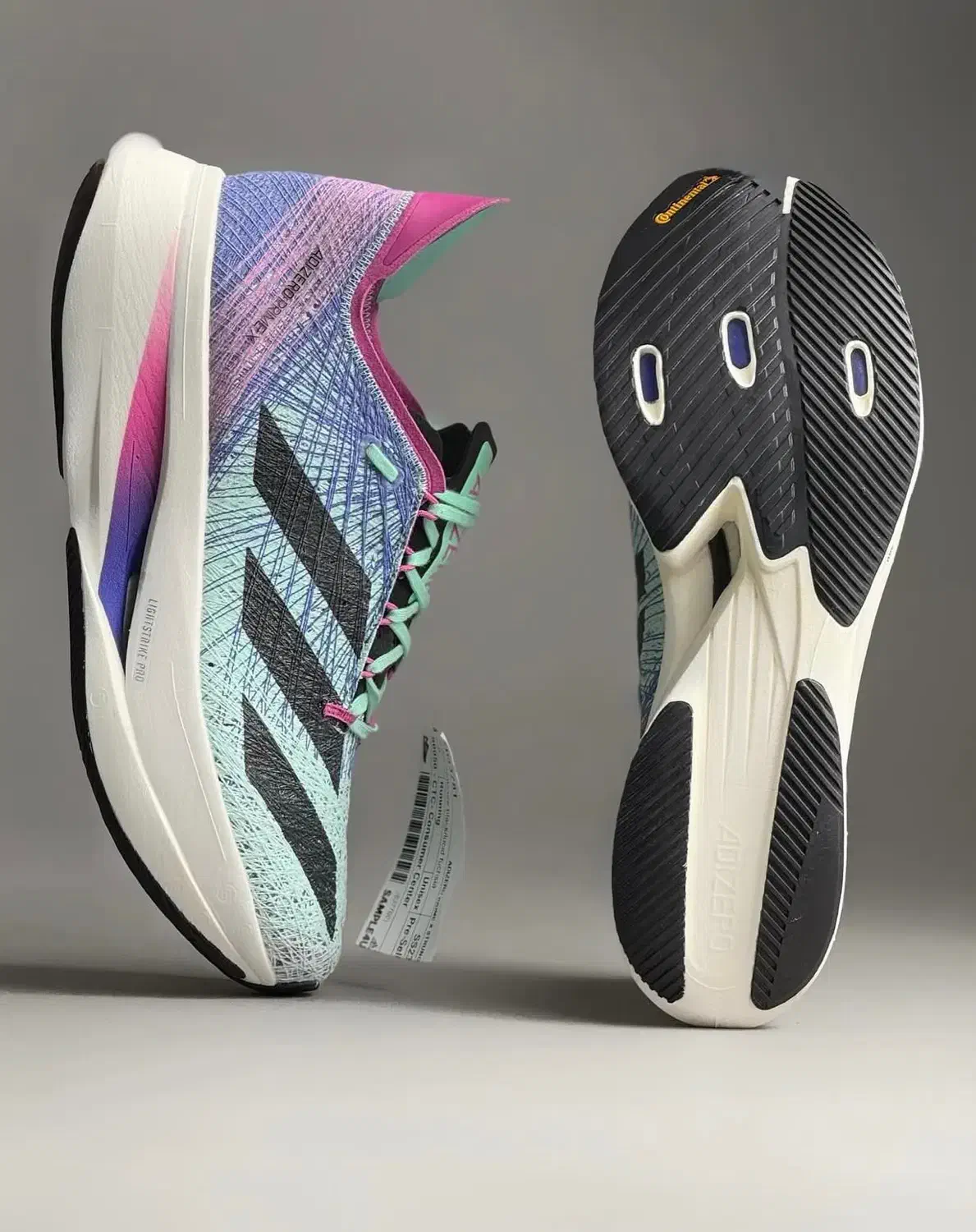 کفش|کیف، کفش، کمربند|چالوس, |دیوار