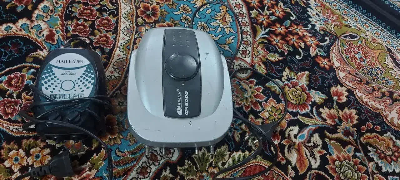 آکواریوم باپایه وهمه وسایلش|ماهی|بروجرد, |دیوار