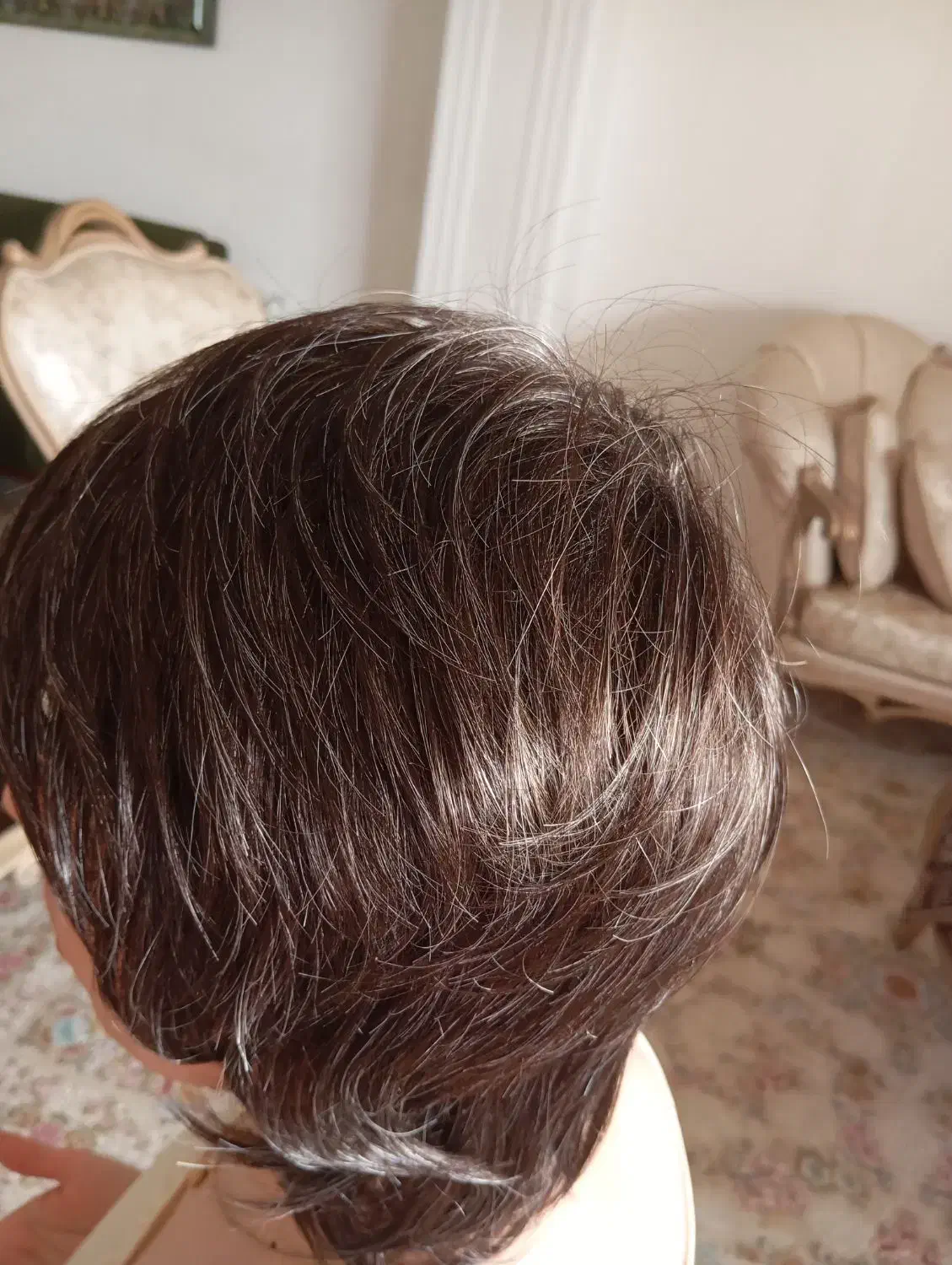 کلاه گیس موی طبیعی کوتاه|آرایشی، بهداشتی، درمانی|رشت, شهرک قدس|دیوار