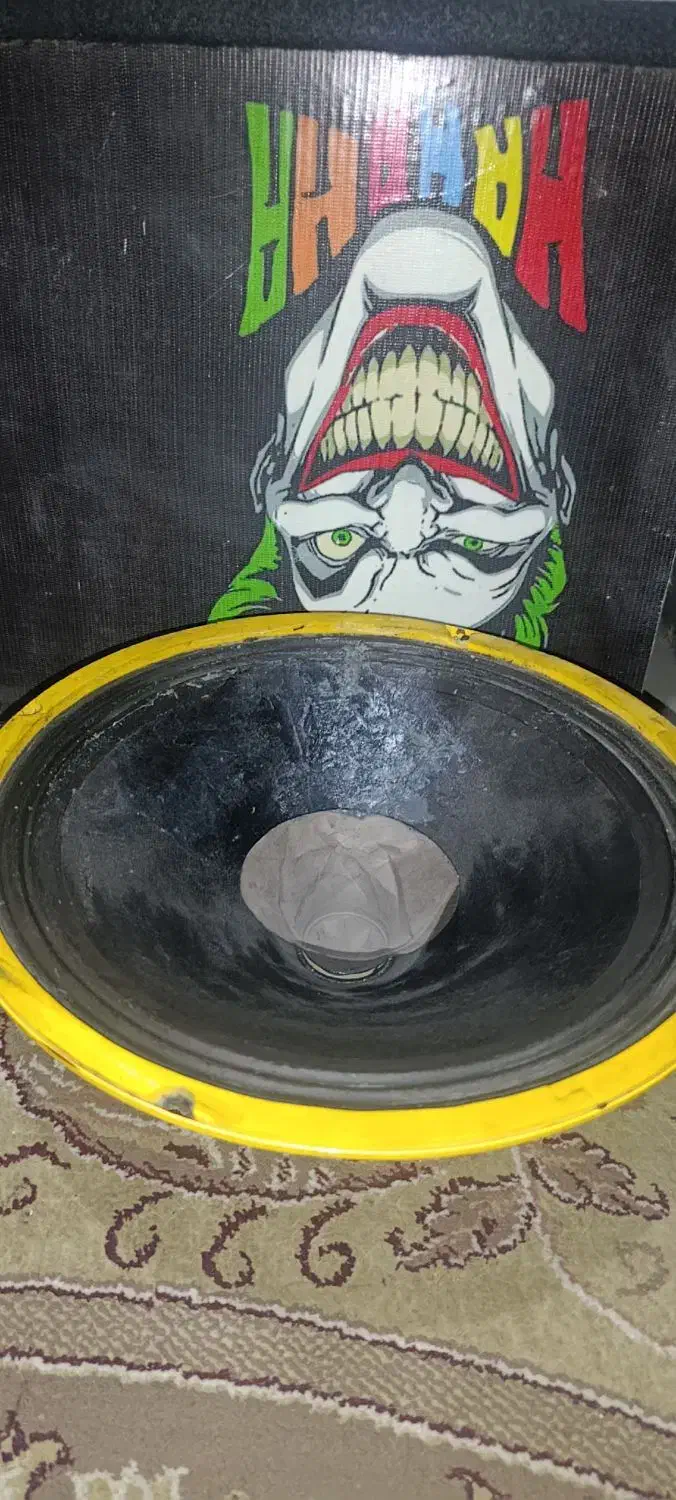 میدرنج ۱۲اینچ|سیستم صوتی خانگی|شوش, |دیوار