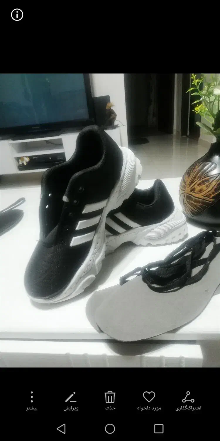 کفش اسپورت نو|کیف، کفش، کمربند|صدرا-فارس, فاز ۱|دیوار