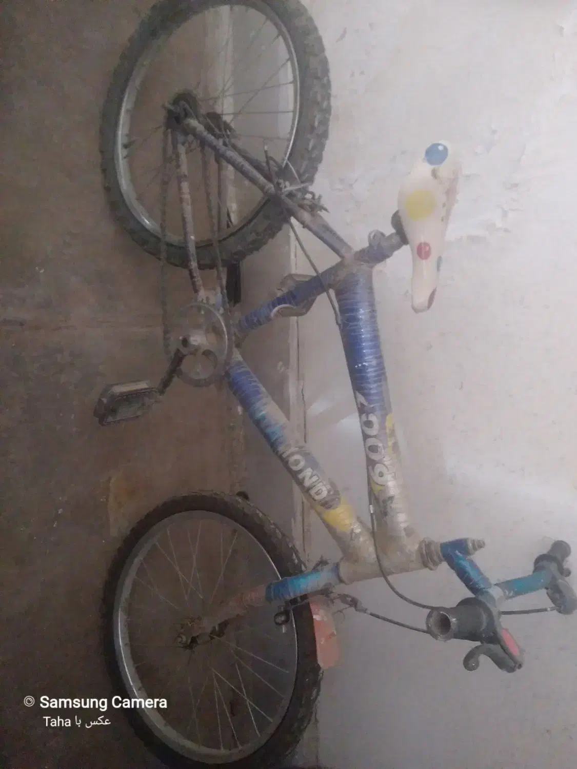 دوچرخه|دوچرخه، اسکیت، اسکوتر|محمدشهر, شهرک پیام (مهرالبرز)|دیوار