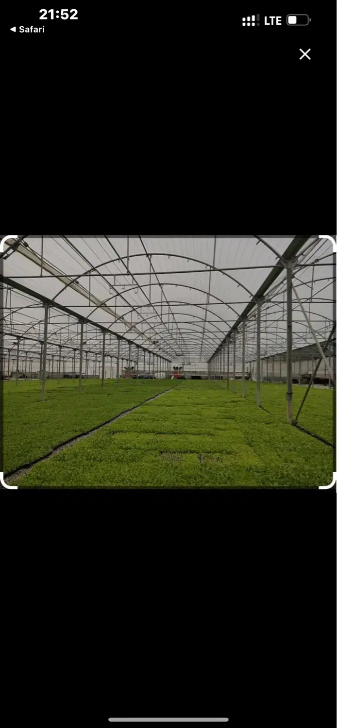 گلخانه فعال 2700 متری در نهاوند|فروش دفتر صنعتی، کشاورزی، تجاری|نهاوند, |دیوار