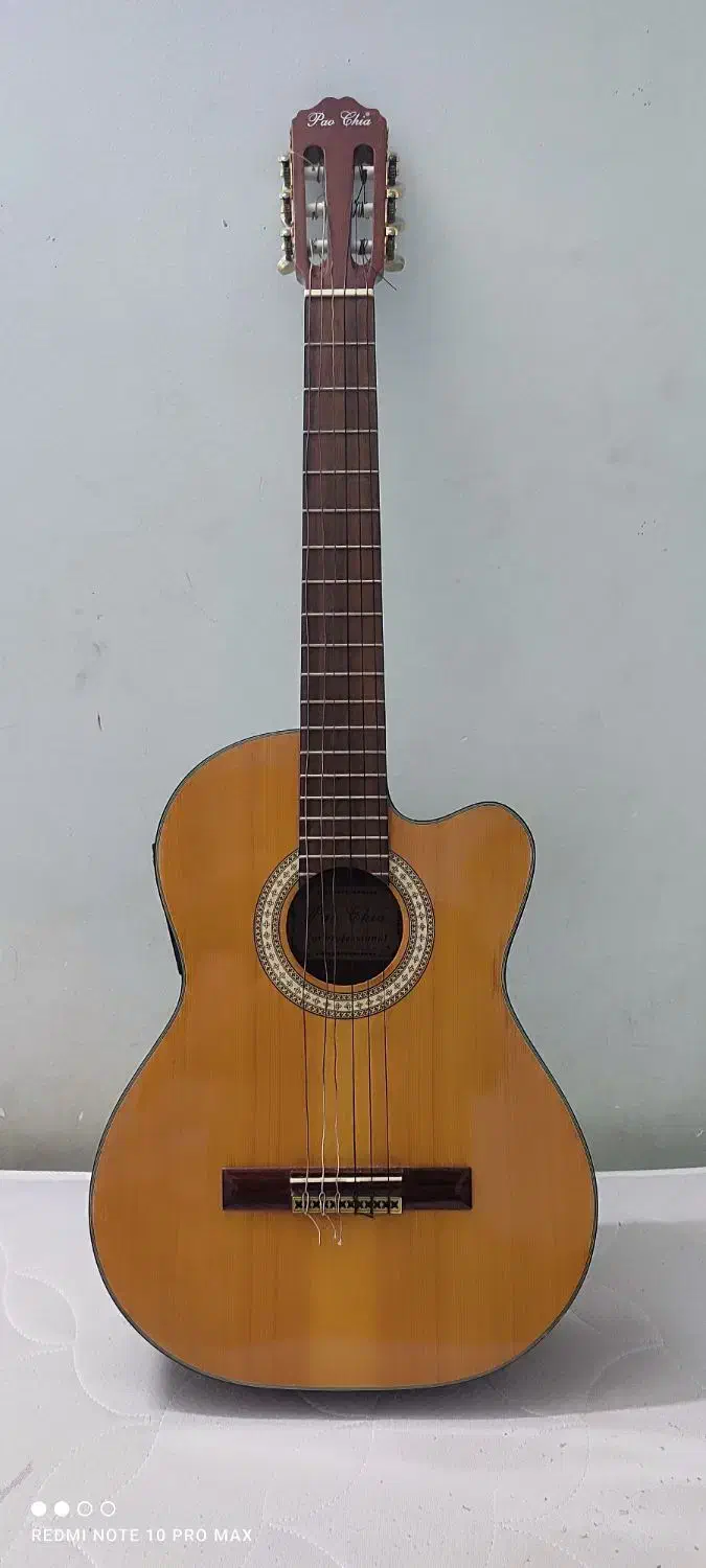 گیتار پائوچیا|گیتار، بیس، امپلیفایر|گرگان, |دیوار