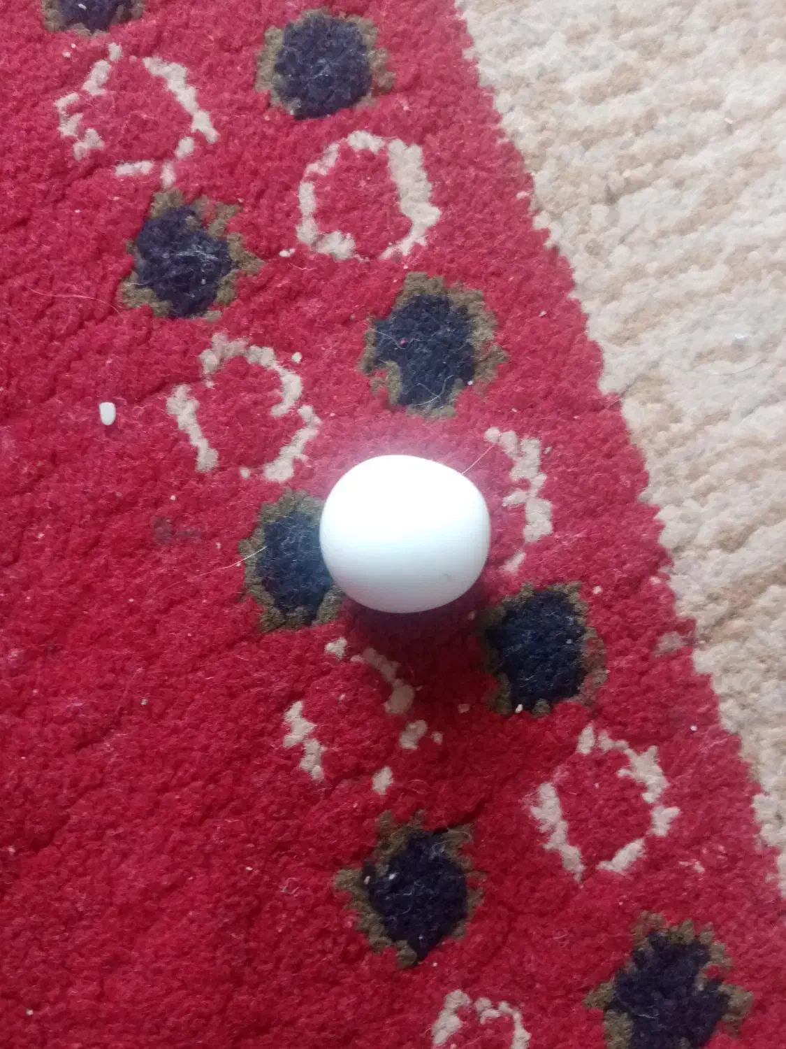 سنگ الماس اسیاب|زیورآلات و اکسسوری|کرمان, |دیوار