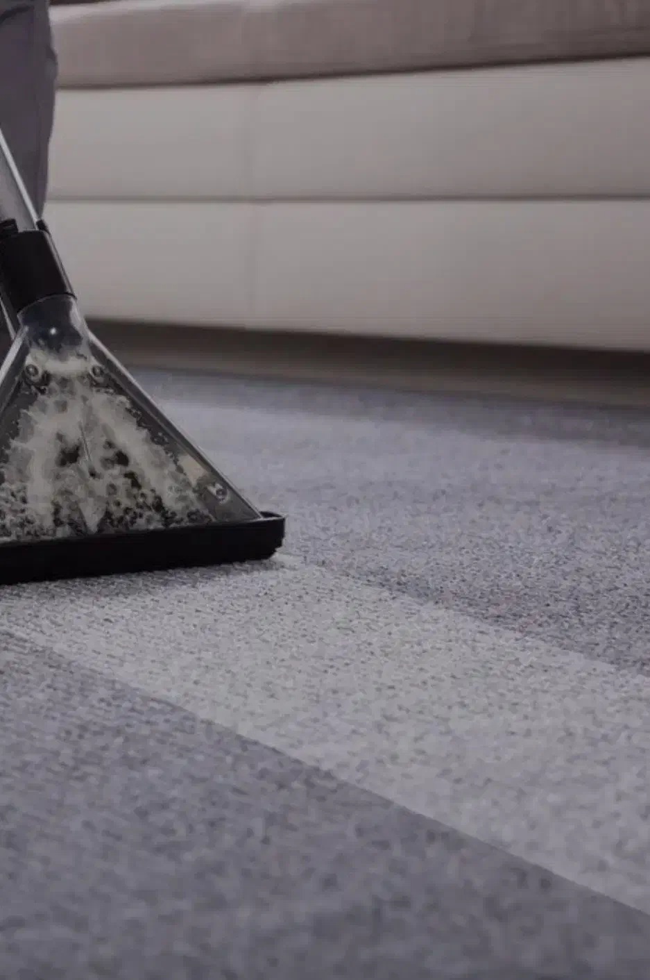 موکت شویی در محل تمام نقاط تهران قالیشویی تهران|خدمات نظافت|تهران, یوسف‌آباد|دیوار