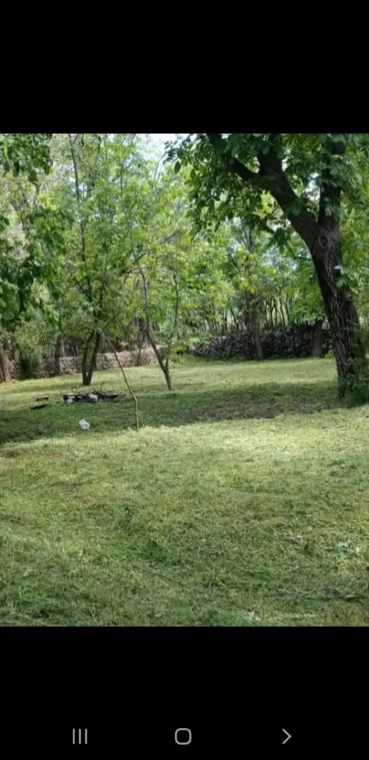 باغ گردو کرند|فروش زمین و ملک کلنگی|دالاهو, |دیوار