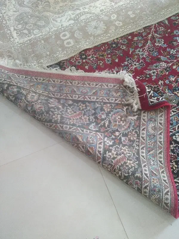 فرش ۹متری|فرش|تربت‌حیدریه, منصوریه|دیوار