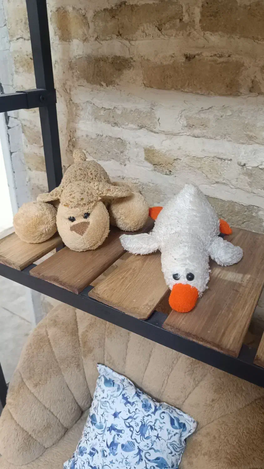 عروسک های پولیشی|اسباب‌بازی بچه|پردیس, فاز ۳|دیوار