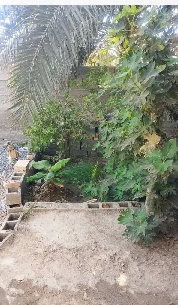 خانه اجاره ای|اجارهٔ خانه و ویلا|کهنوج, |دیوار