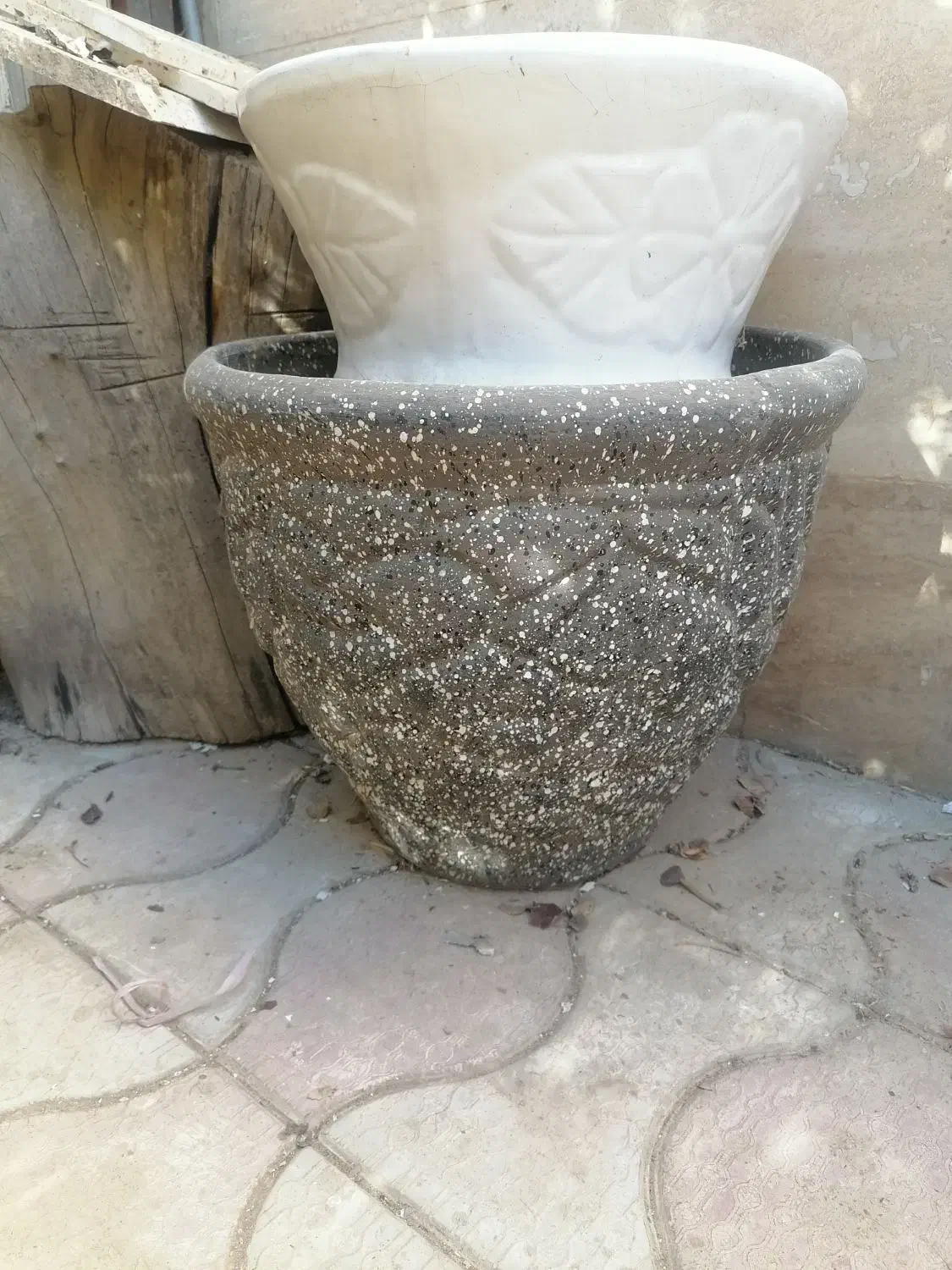 گلدان بزرگ سالم|گل و گیاه طبیعی|شیراز, پادگان بعثت|دیوار