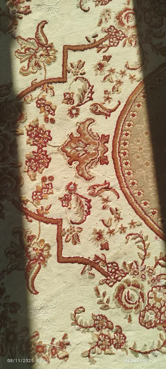 دو عدد قالی|فرش|اهواز, زردشت|دیوار