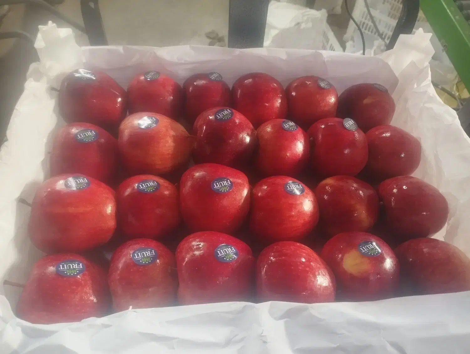 کار در سرد خانه|استخدام صنعتی، فنی، مهندسی|ارومیه, |دیوار