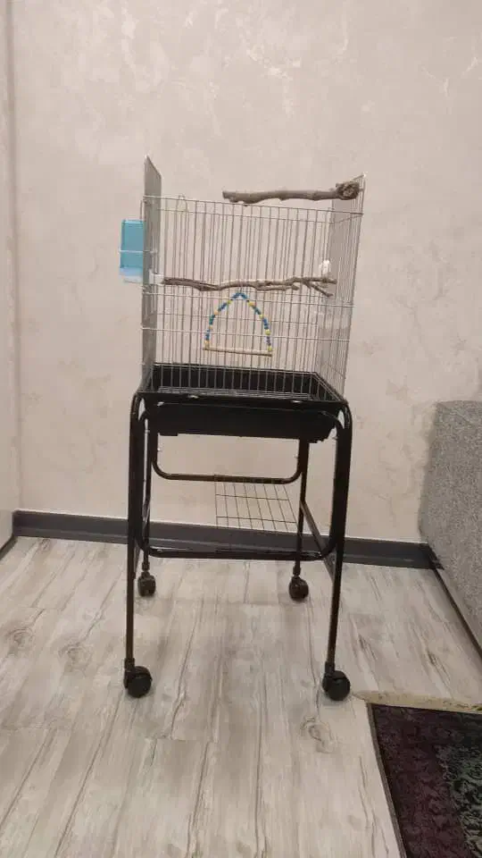 قفس با پایه|لوازم جانبی حیوانات|تهران, مختاری|دیوار