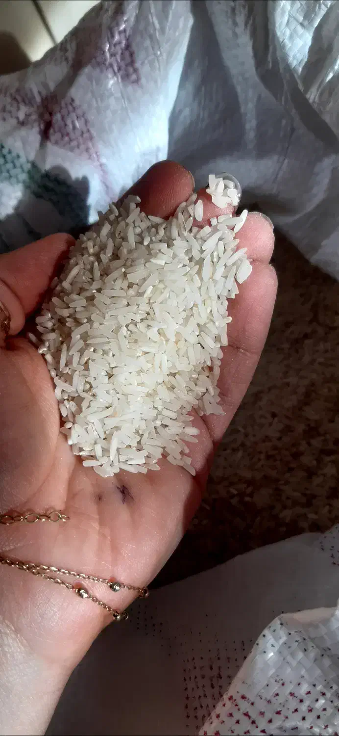 برنج ایرانی سر لاشه معطر|خوردنی و آشامیدنی|تهران, دولاب|دیوار