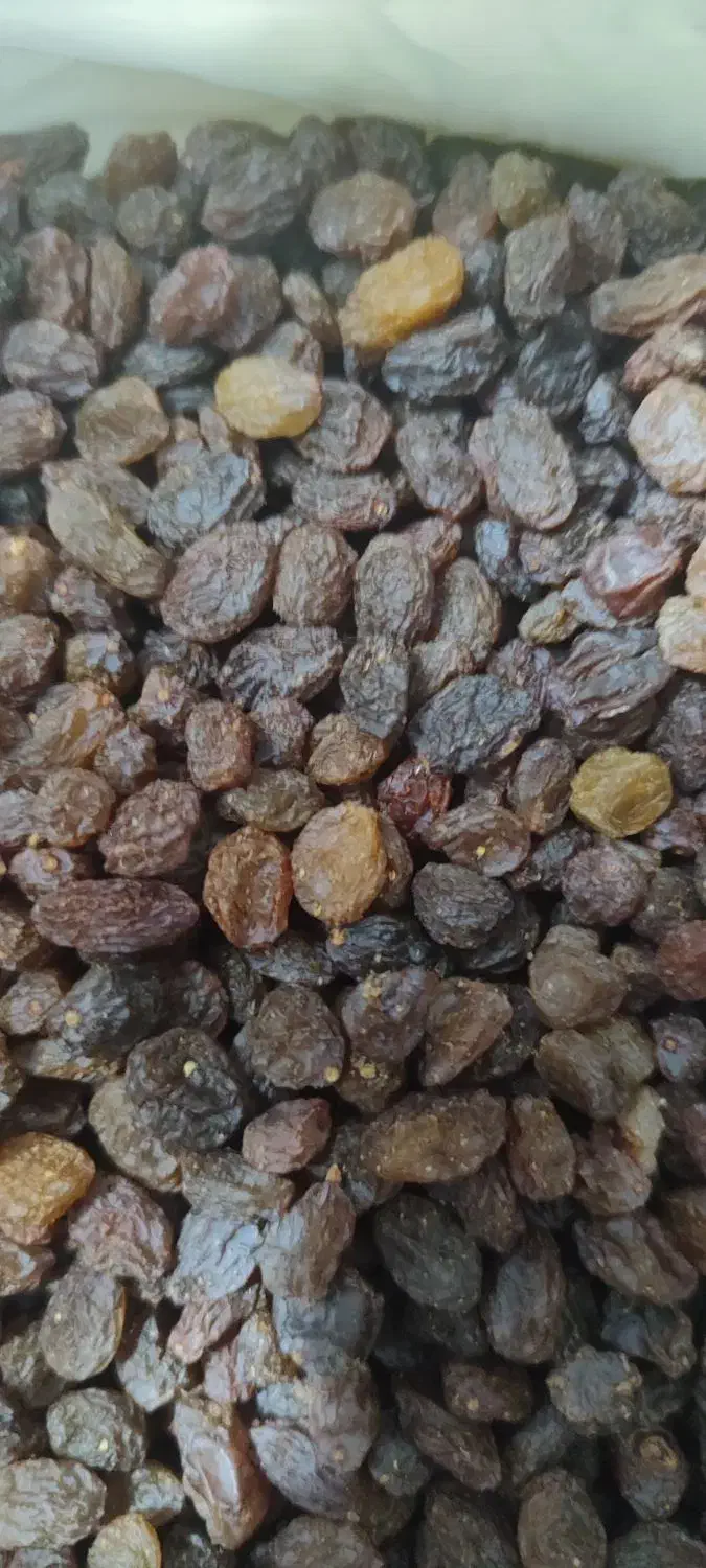 کشمش پلویی(آفتابی)|خوردنی و آشامیدنی|کرج, شاهینویلا|دیوار