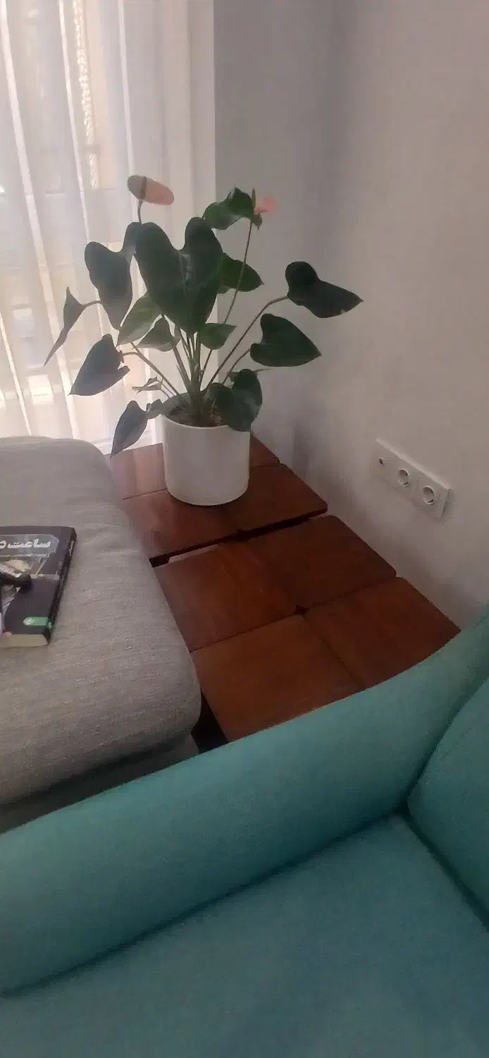 فروش جلو مبلی و دو عسلی|مبلمان خانگی و میز عسلی|یزد, |دیوار