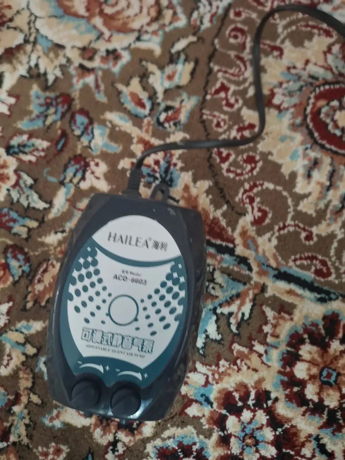 اکواریوم شرکتی شیشه خم و یک عدد شیشه ده میل|ماهی|دزفول, |دیوار