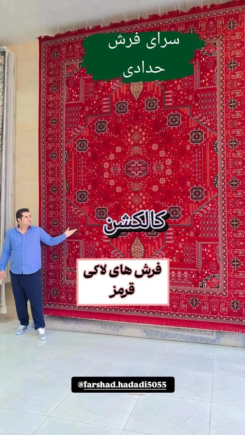 فرش ۵۰۰شانه تا ۱۲۰۰شانه متراژ مختلف لاکی|فرش|شیراز, قلات|دیوار