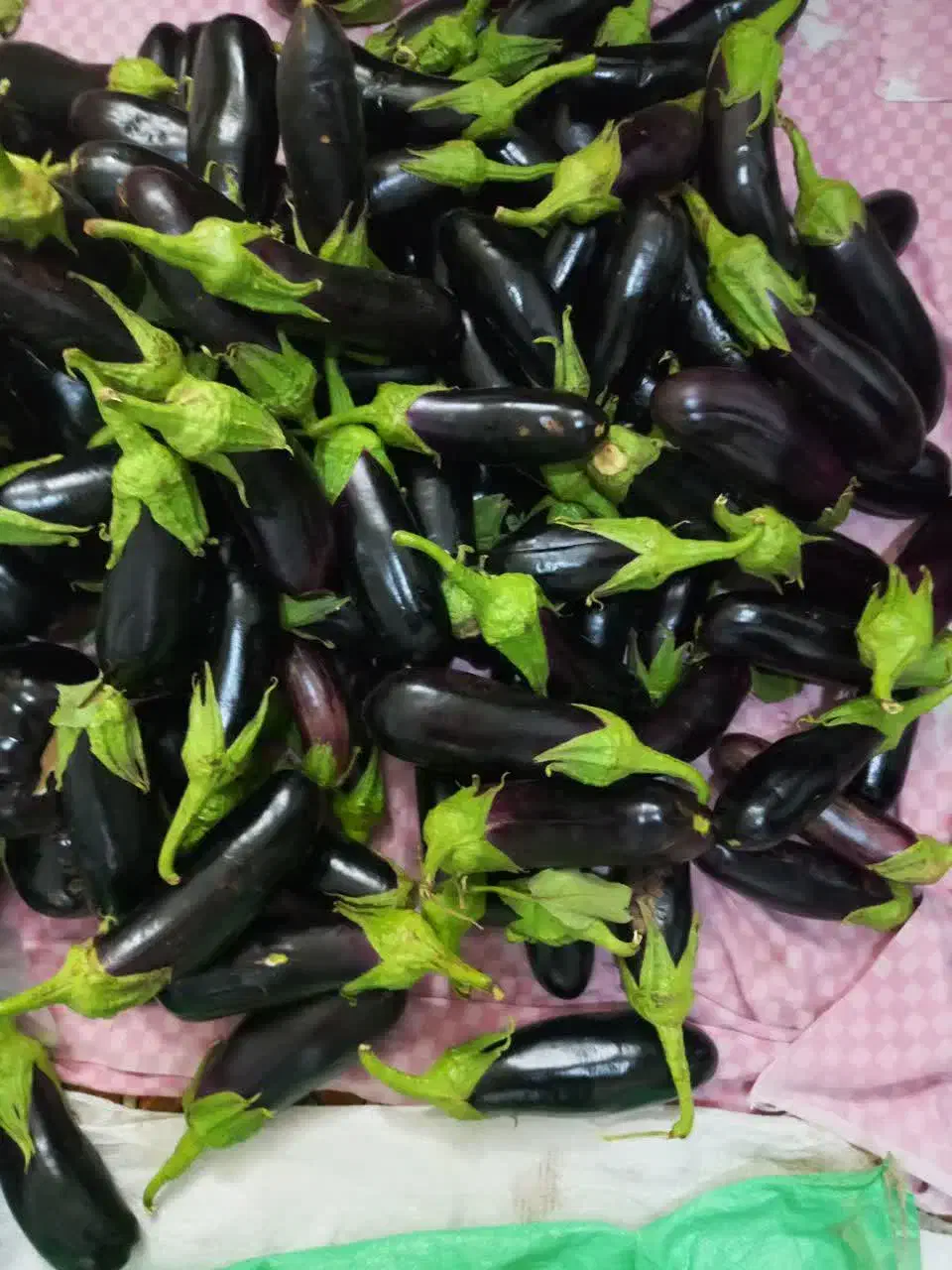 بادمجان کاشان|خوردنی و آشامیدنی|تهران, حشمتیه|دیوار