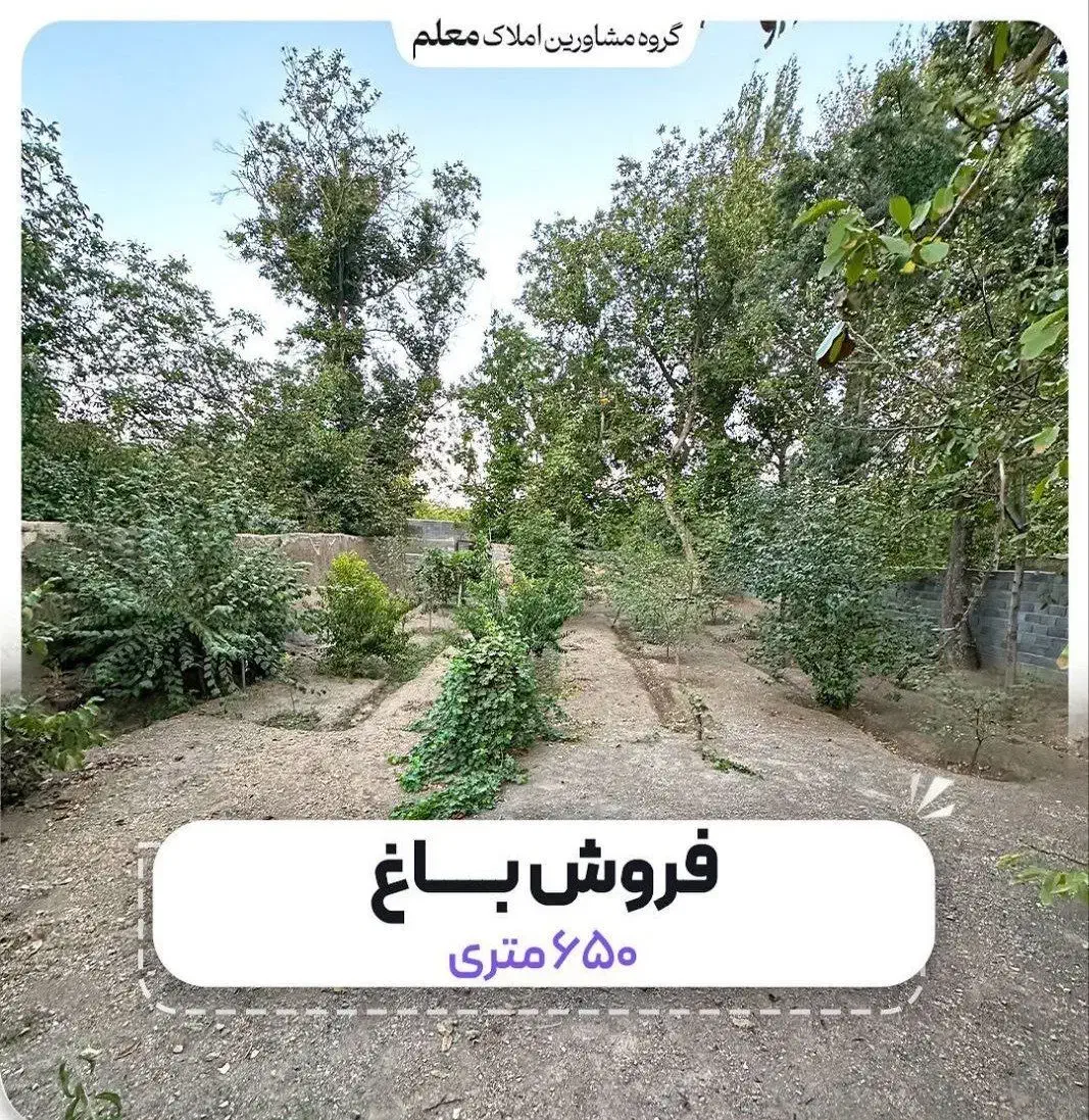 فروش باغ در نوجه ده|فروش زمین و ملک کلنگی|شبستر, |دیوار