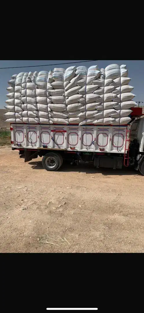 کاه گندم دیم|خدمات باغبانی و درختکاری|مسجد سلیمان, |دیوار