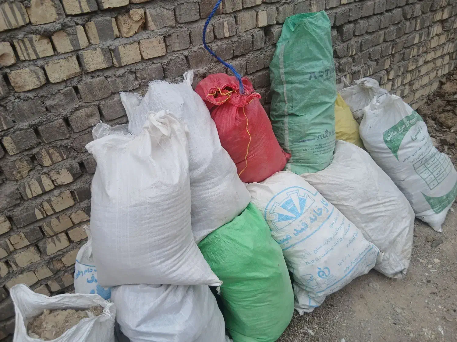 کود بوقلمون|گل و گیاه طبیعی|قم, مسکن مهر|دیوار