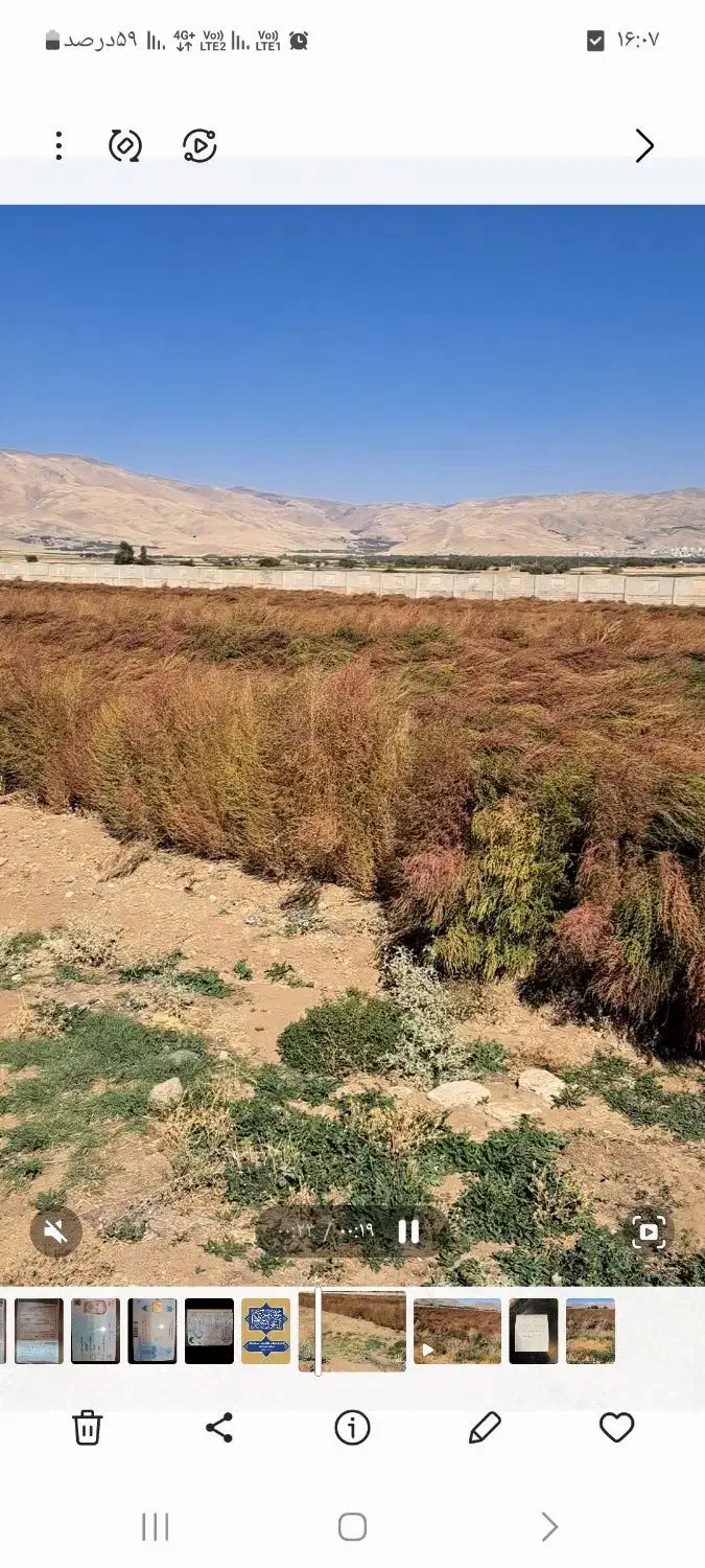 فروش جارو به صورت کلی وجزیی|لوازم نظافت|اسدآباد, |دیوار