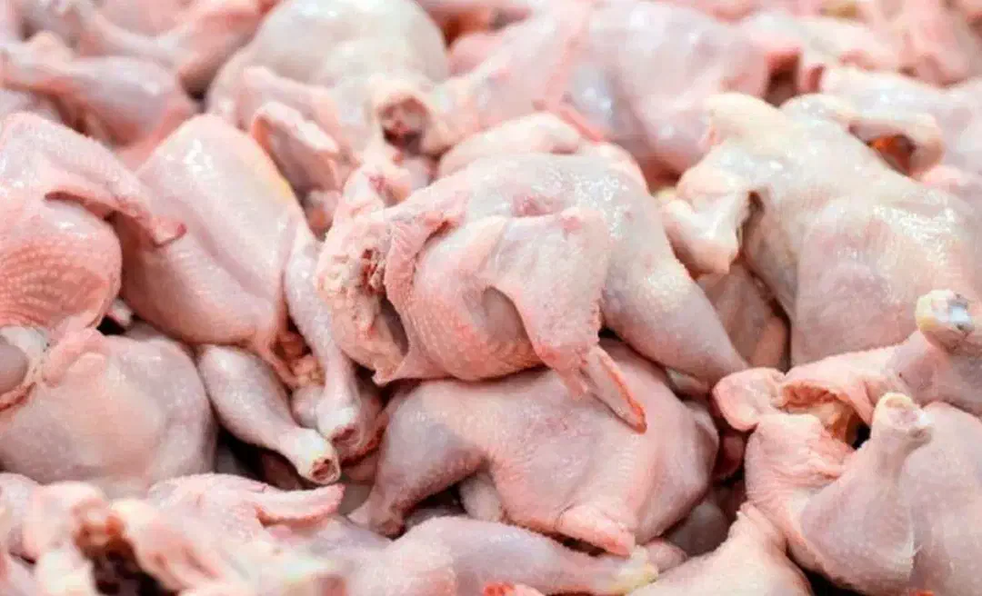 بال و کتف گردن مرغ ران و سینه مرغ|خوردنی و آشامیدنی|علیآباد کتول, |دیوار