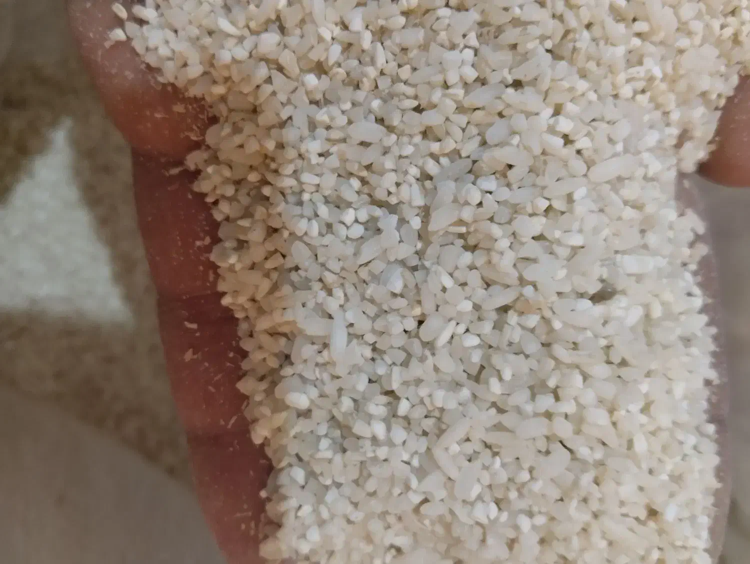 خرده برنج|خوردنی و آشامیدنی|ایذه, |دیوار