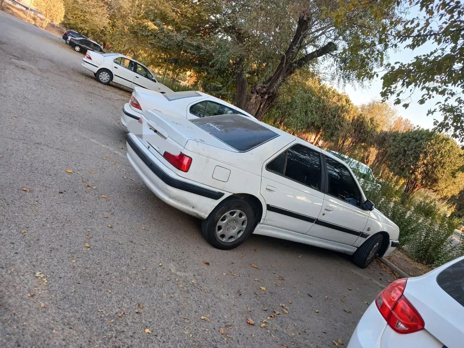 پارس سال مدل ۹۶|خودرو سواری و وانت|تهران, طیب|دیوار