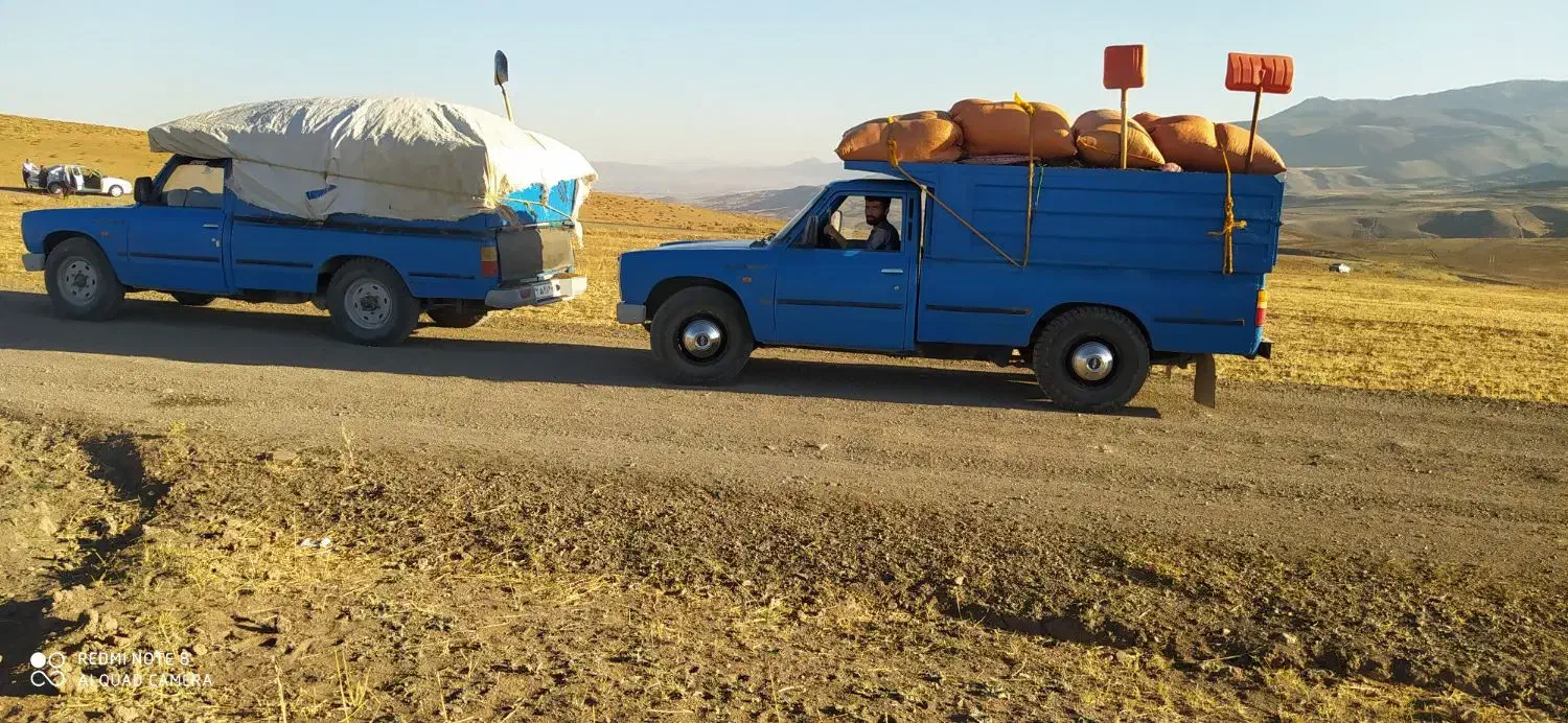 فروش پهنه گوسفند به باغداری عزیز اورمیه|خدمات باغبانی و درختکاری|چالدران, |دیوار