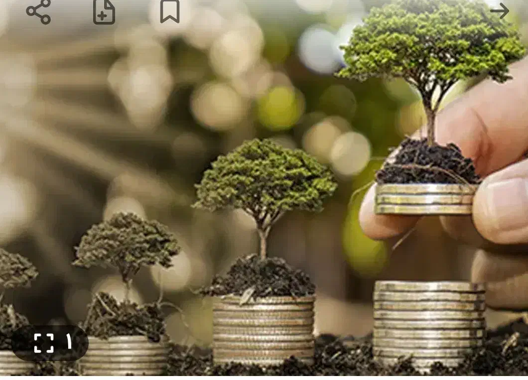 اعطا|خدمات مالی، حسابداری، بیمه|سبزوار, جوادیه شرقی|دیوار