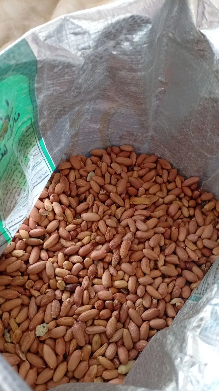 بادام|خوردنی و آشامیدنی|پارس‌آباد, |دیوار