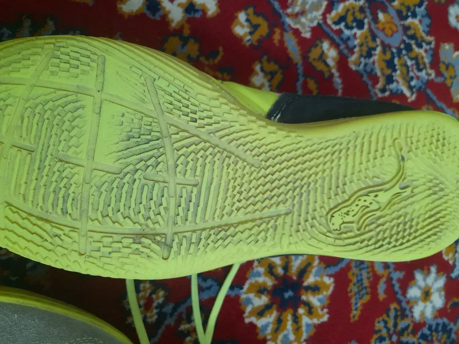 کفش|تجهیزات ورزشی|فردوس (خراسان), |دیوار