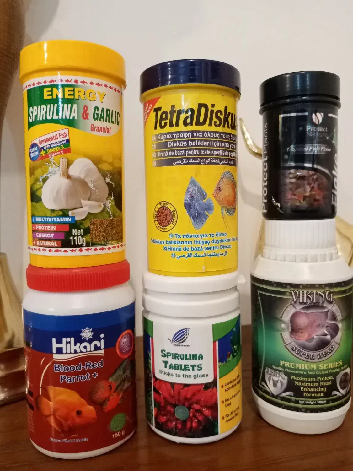 غذای ماهی|ماهی|اهواز, زیتون کارمندی|دیوار