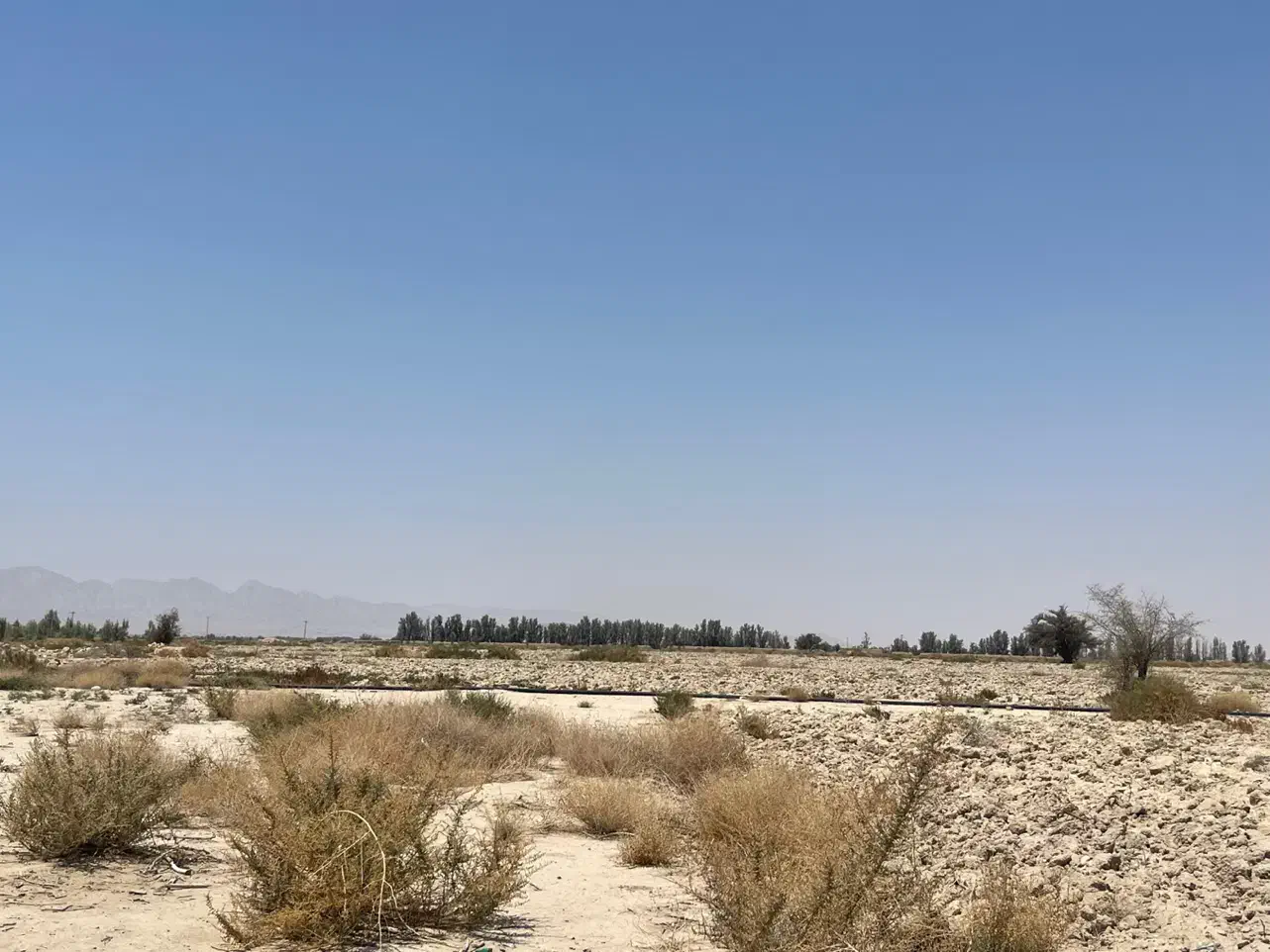 فروش ۱۹هکتار زمین کشاورزی سند دار|فروش دفتر صنعتی، کشاورزی، تجاری|لار, |دیوار